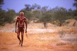 human effects savanna biome aboriginal land australia walkabout australian outback aborigines animals walking aborigine living lived history body traditional hunting